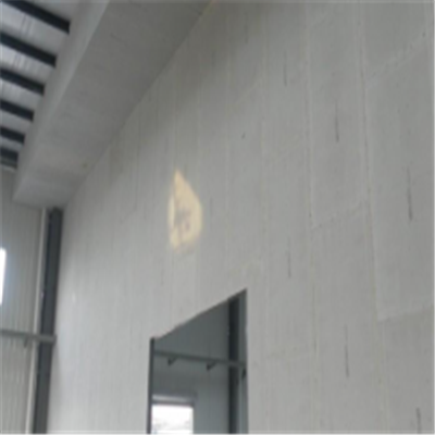 余干宁波ALC板|EPS加气板隔墙与混凝土整浇联接的实验研讨